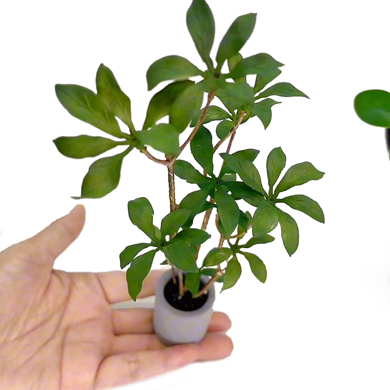 Bonsai Garden Pot - 1:6 Poppenhuis Miniatuur Potplanten Model Groenbladige