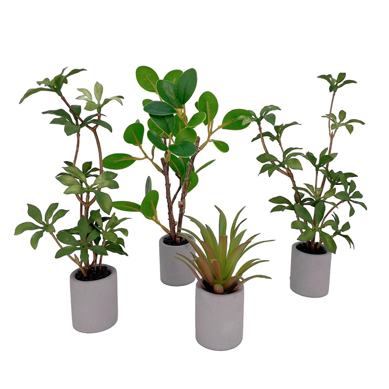 Bonsai Garden Pot - 1:6 Dollhouse Miniatuur Potplant Groenbladige Plant
