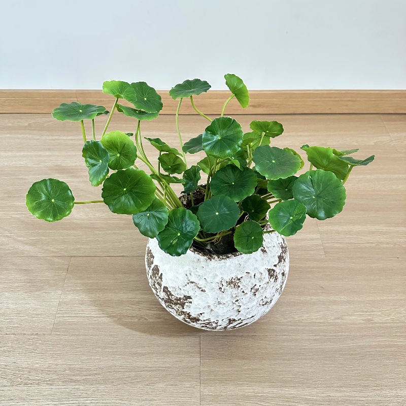 Bonsai Garden Wall - 2 stuks Kunstmatige Pilea Peperomioides Bonsai