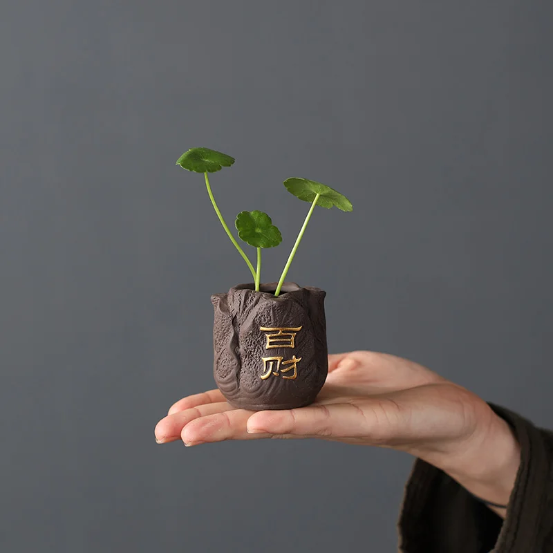 Creatieve Paarse Klei Thee Hui - Bonsai Garden Pot recensie en prijs