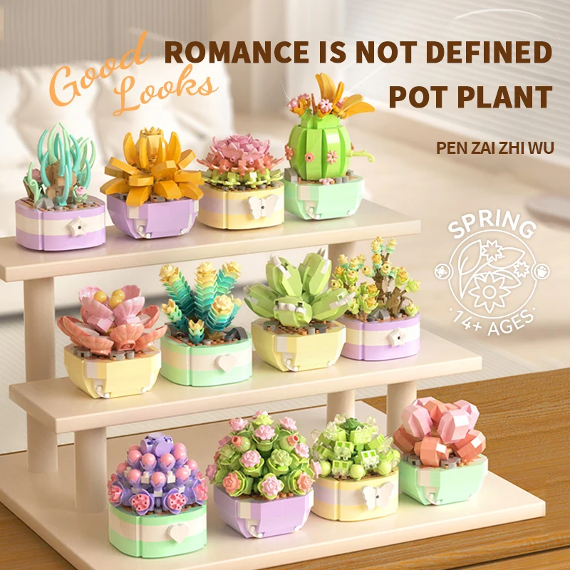 Bloem Vetplanten Bouwstenen Ee - Bonsai Garden Pot recensie en prijs