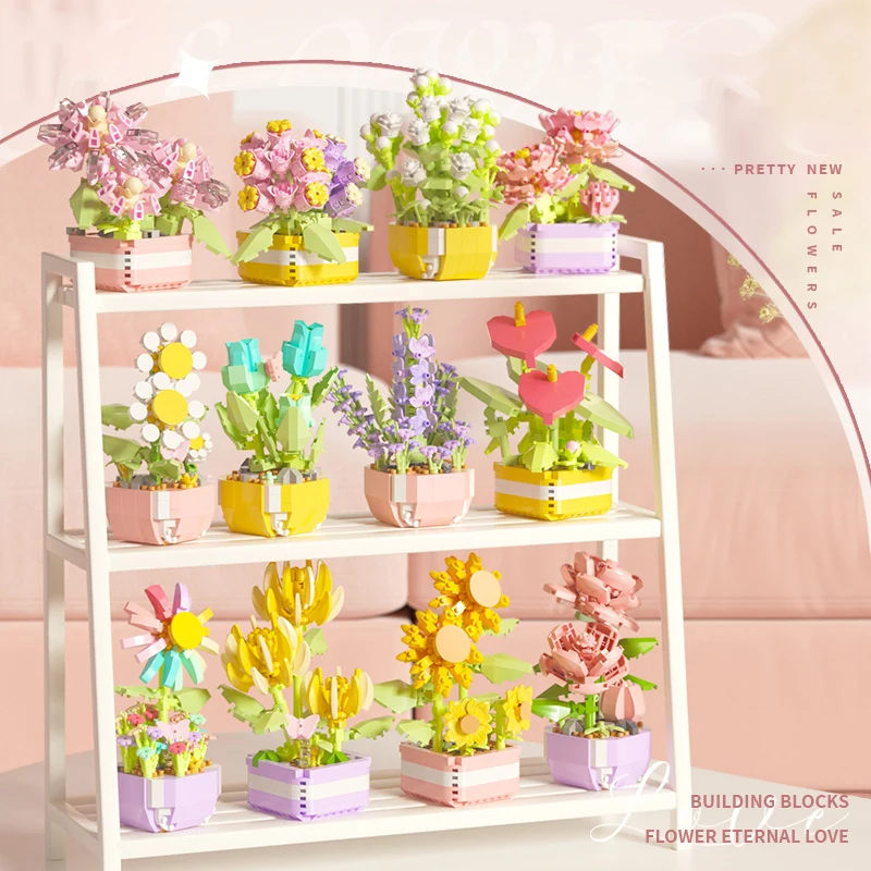 Bloem Vetplanten Bouwstenen Ee - Bonsai Garden Pot recensie en prijs