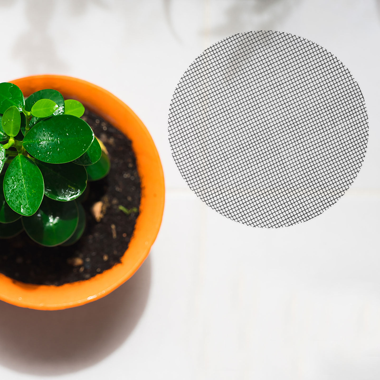 50 stuks bloempot gatenmatten  - Bonsai Garden Pot recensie en prijs