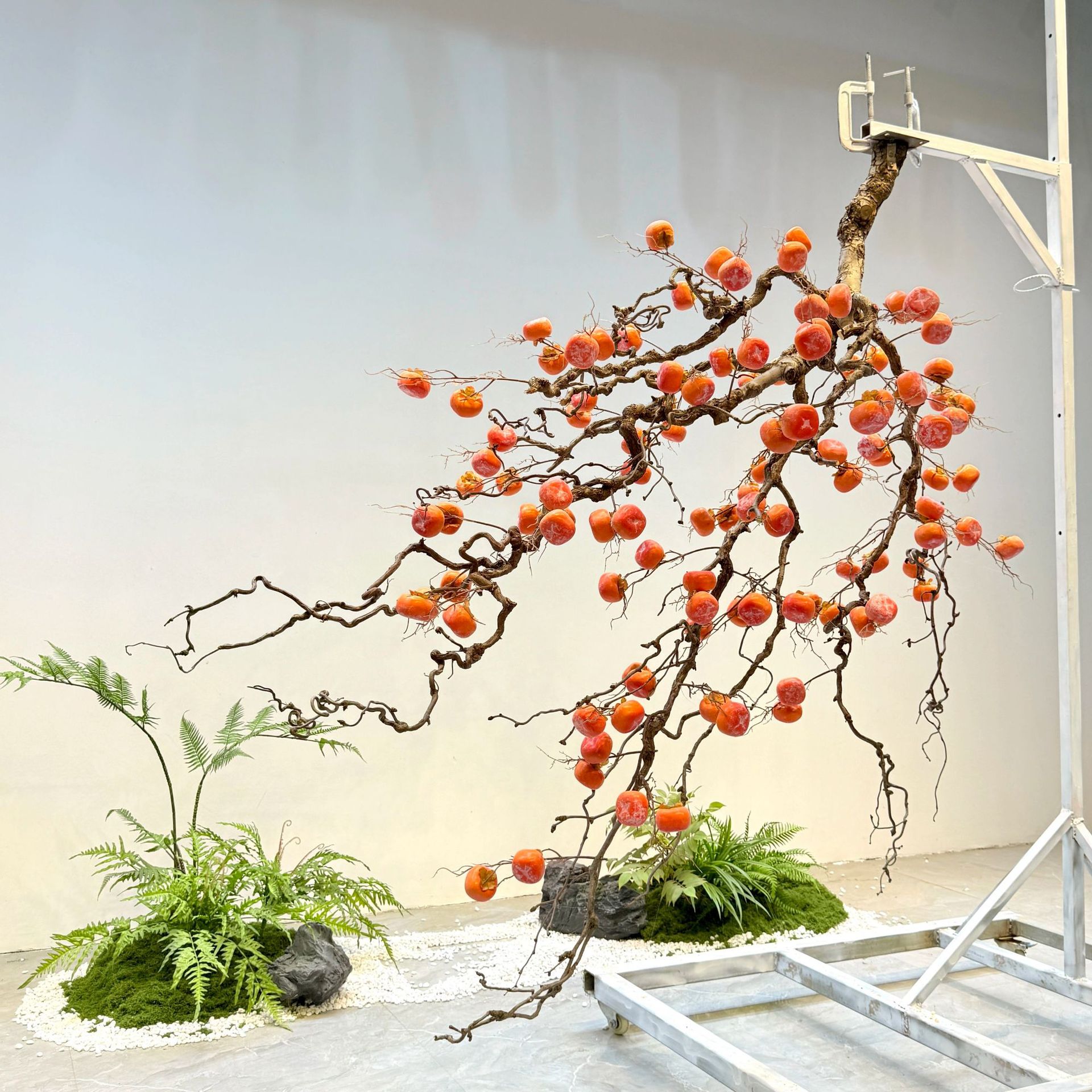 Gesimuleerde persimmonboom han - Bonsai Garden Wall recensie en prijs
