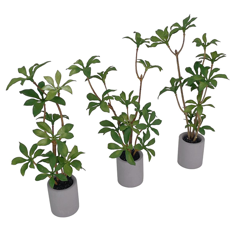 1:6 Dollhouse Miniatuur Potpla - Bonsai Garden Pot recensie en prijs