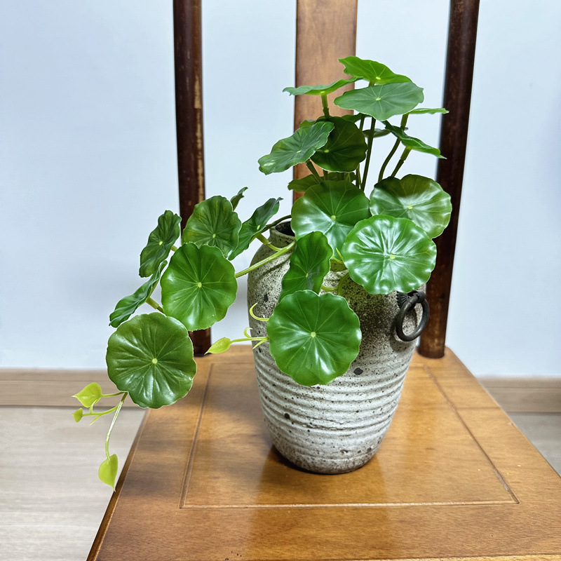 2 stuks Kunstmatige Pilea Pepe - Bonsai Garden Wall recensie en prijs