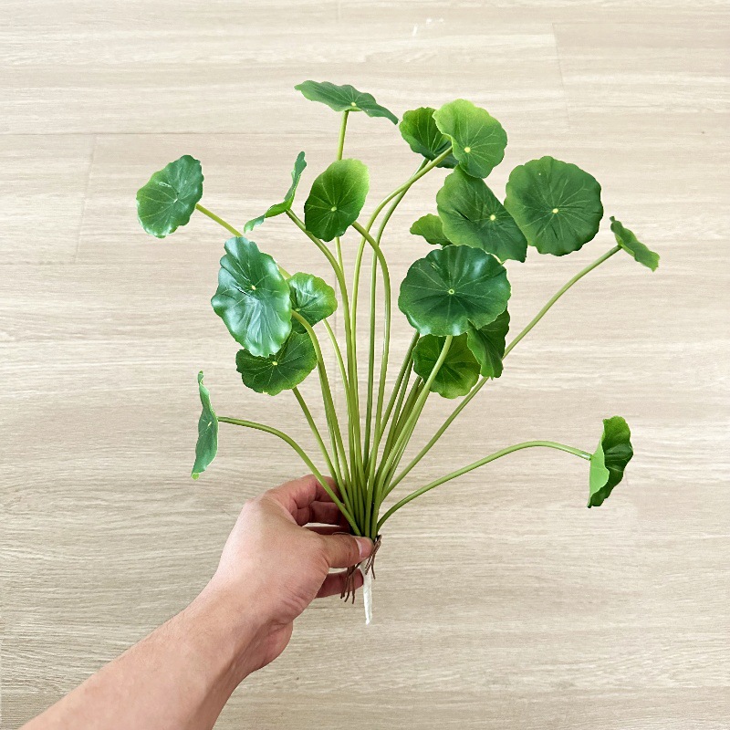 2 stuks Kunstmatige Pilea Pepe - Bonsai Garden Wall recensie en prijs