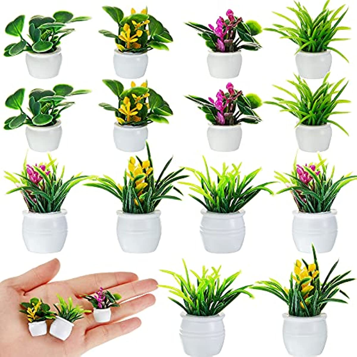 Poppenhuisplant, miniatuur bon - Bonsai Garden Pot recensie en prijs