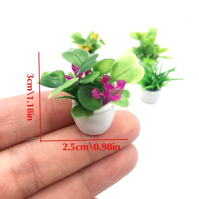 Poppenhuisplant, miniatuur bon - Bonsai Garden Pot recensie en prijs