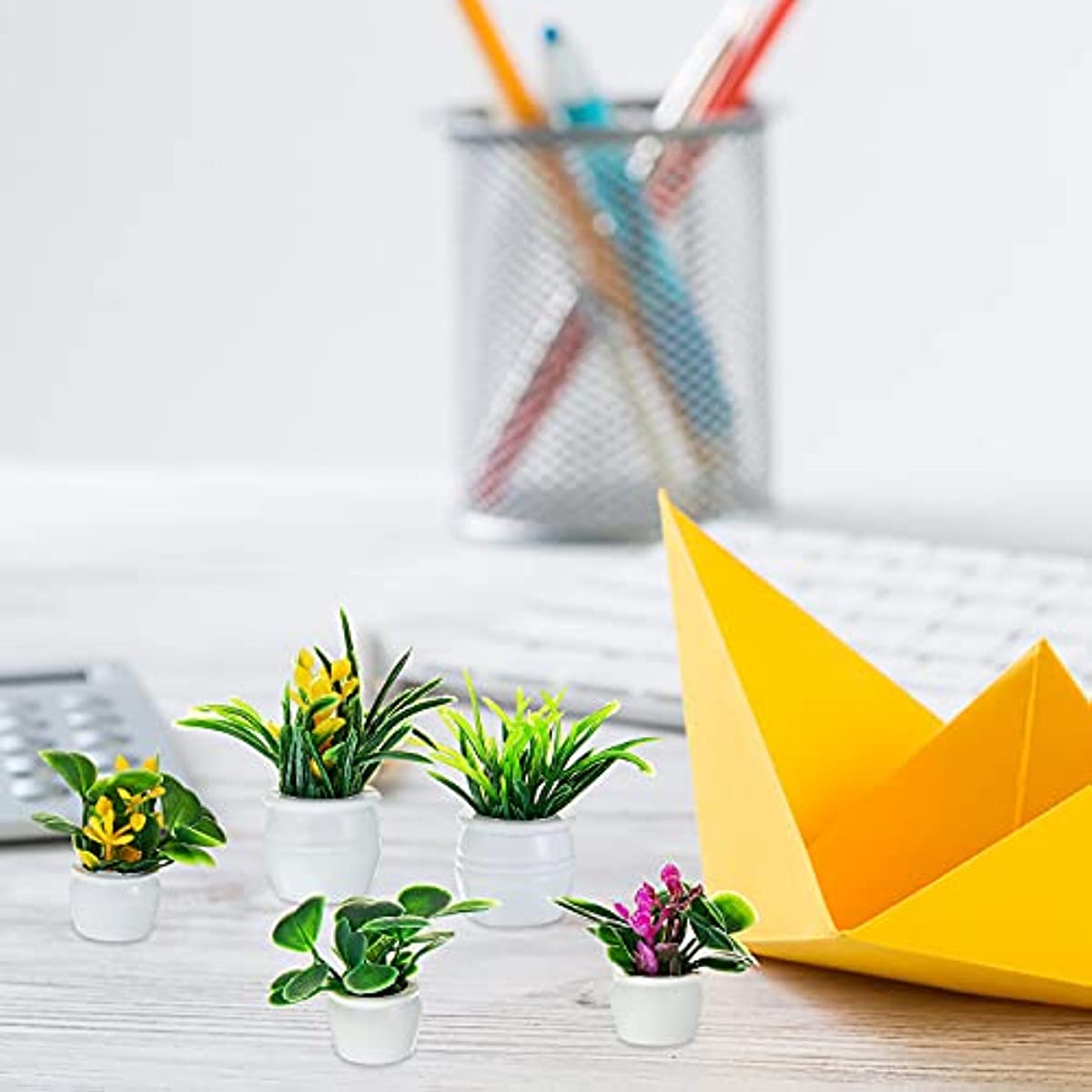 Poppenhuisplant, miniatuur bon - Bonsai Garden Pot recensie en prijs