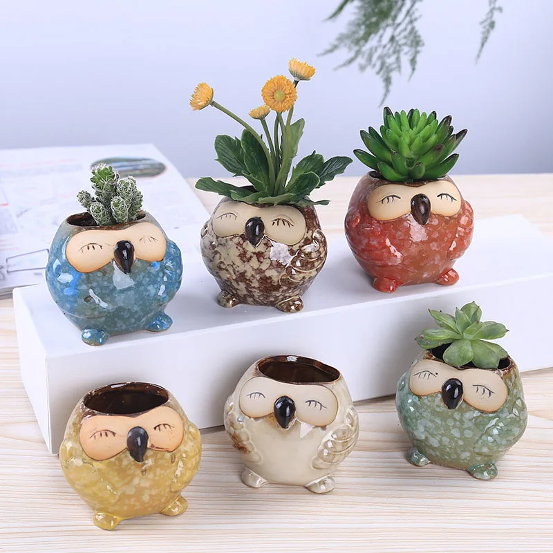 Mini keramische uil succulente - Bonsai Garden Wall recensie en prijs