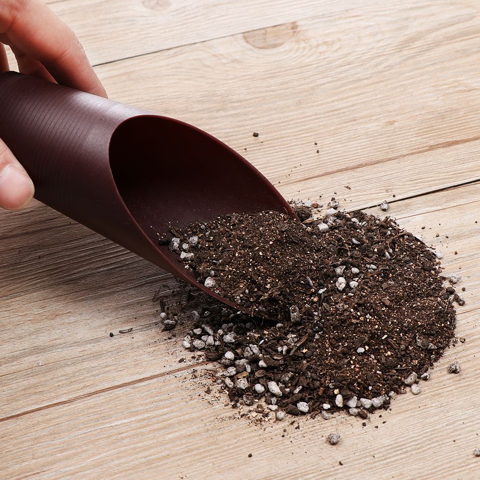 1 stuk plastic grondschepbeker - Bonsai Garden Pot recensie en prijs